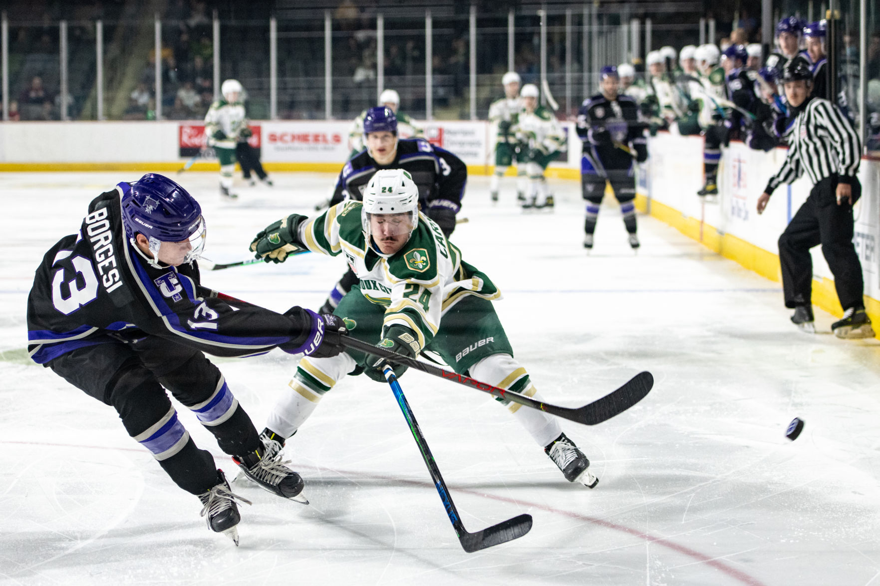 Musketeers vs Tri-City Storm hockey
